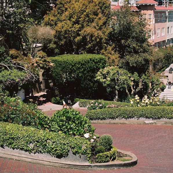 Film Photo 2, Lombard St, San Francisco, California